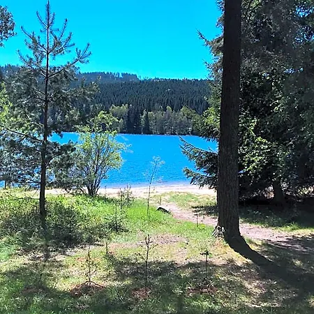 Rodinne Krauskopfovi *